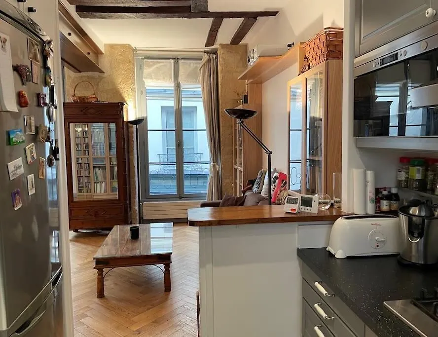 Apartment Beautiful Flat Seine River-saint Michel/notre-dame