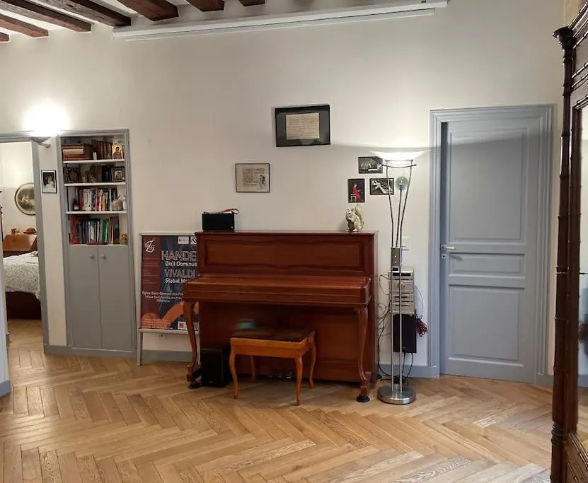 Apartment Beautiful Flat Seine River-saint Michel/notre-dame Paris